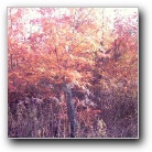 Silverart-wszystkie prawa zastrze�one