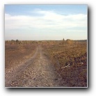 Silverart-wszystkie prawa zastrze�one