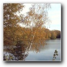 Silverart-wszystkie prawa zastrze�one