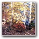 Silverart-wszystkie prawa zastrze�one