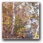 Silverart-wszystkie prawa zastrze�one