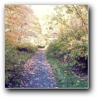 Silverart-wszystkie prawa zastrze�one