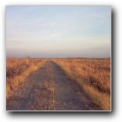 Silverart-wszystkie prawa zastrze�one