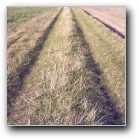 Silverart-wszystkie prawa zastrze�one