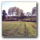 Silverart-wszystkie prawa zastrze�one