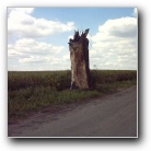 Silverart-wszystkie prawa zastrze�one