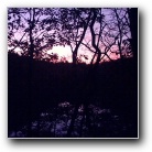 Silverart-wszystkie prawa zastrze�one