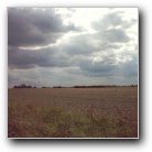 Silverart-wszystkie prawa zastrze�one