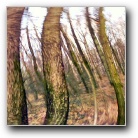 Silverart-wszystkie prawa zastrze�one