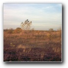 Silverart-wszystkie prawa zastrze�one