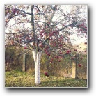 Silverart-wszystkie prawa zastrze�one