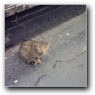 Silverart-wszystkie prawa zastrze�one