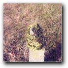 Silverart-wszystkie prawa zastrze�one