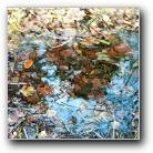 Silverart-wszystkie prawa zastrze�one