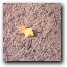 Silverart-wszystkie prawa zastrze�one