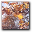 Silverart-wszystkie prawa zastrze�one