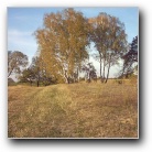 Silverart-wszystkie prawa zastrze�one