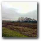 Silverart-wszystkie prawa zastrze�one