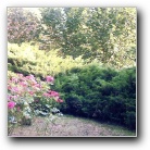 Silverart-wszystkie prawa zastrze�one