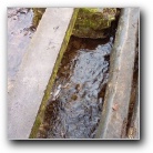 Silverart-wszystkie prawa zastrze�one