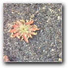 Silverart-wszystkie prawa zastrze�one