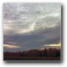 Silverart-wszystkie prawa zastrze�one