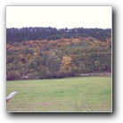 Silverart-wszystkie prawa zastrze�one