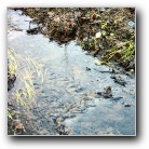 Silverart-wszystkie prawa zastrze�one