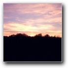 Silverart-wszystkie prawa zastrze�one