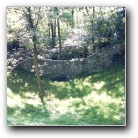 Silverart-wszystkie prawa zastrze�one